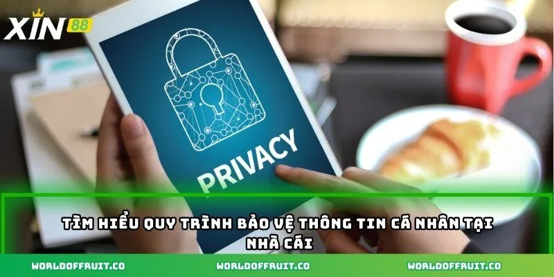 Chính Sách Bảo Mật – Niềm Tin Vững Chắc Của Mọi Người Dùng 2 Tìm hiểu quy trình bảo vệ thông tin cá nhân tại nhà cái