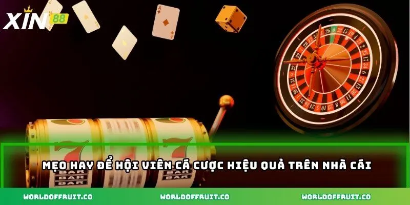 Đăng Ký Xin88 – Kết Nối Niềm Vui Để Tận Hưởng Game Hấp Dẫn 5 Mẹo hay để hội viên cá cược hiệu quả trên nhà cái