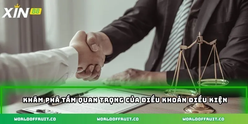 Điều Khoản Điều Kiện – Hiểu Đúng Để Chơi An Toàn Và Hiệu Quả 1 Khám phá tầm quan trọng của điều khoản điều kiện