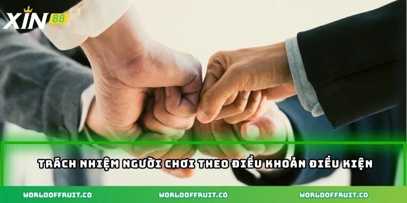 Điều Khoản Điều Kiện – Hiểu Đúng Để Chơi An Toàn Và Hiệu Quả 5 Trách nhiệm người chơi theo điều khoản điều kiện