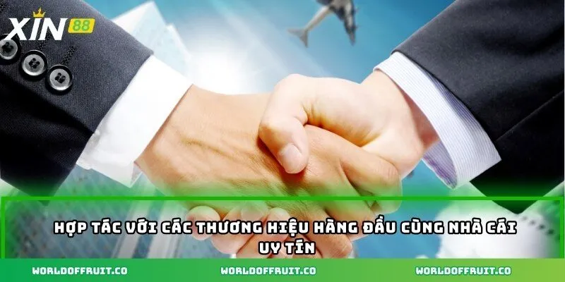 Giới Thiệu Xin88 - Kênh Giải Trí Được Yêu Thích Nhất 2025 2 Hợp tác với các thương hiệu hàng đầu cùng nhà cái uy tín