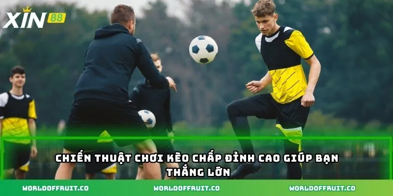 Kèo Chấp 1.5 Là Gì - Công Thức Giúp Bạn Chiến Thắng Dễ Dàng 4 Chiến thuật chơi kèo chấp đỉnh cao giúp bạn thắng lớn