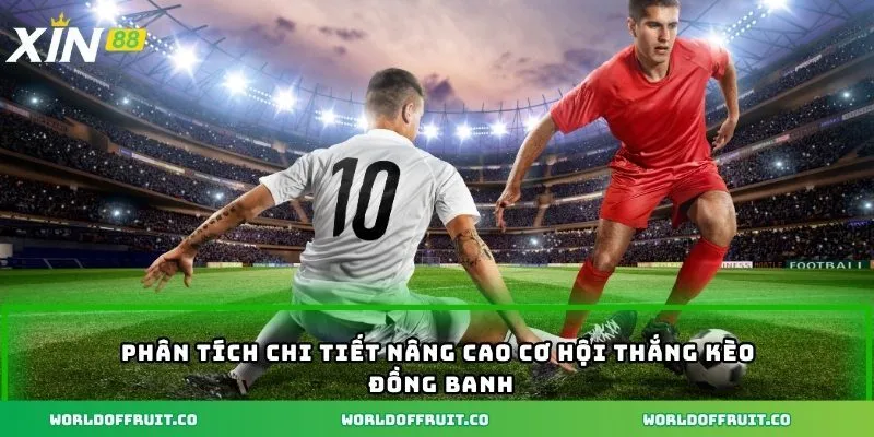 Kèo Đồng Banh - Đòn Bẩy Để Bạn Tăng Lợi Nhuận Cá Cược 3 Phân tích chi tiết nâng cao cơ hội thắng kèo đồng banh