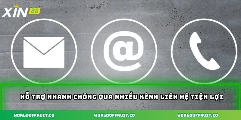 Liên Hệ Đúng Kênh Để Kết Nối Dễ Cho Trải Nghiệm Liền Mạch 1 Hỗ trợ nhanh chóng qua nhiều kênh liên hệ tiện lợi