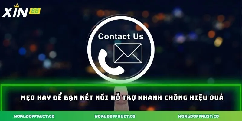 Liên Hệ Đúng Kênh Để Kết Nối Dễ Cho Trải Nghiệm Liền Mạch 5 Mẹo hay để bạn kết nối hỗ trợ nhanh chóng hiệu quả