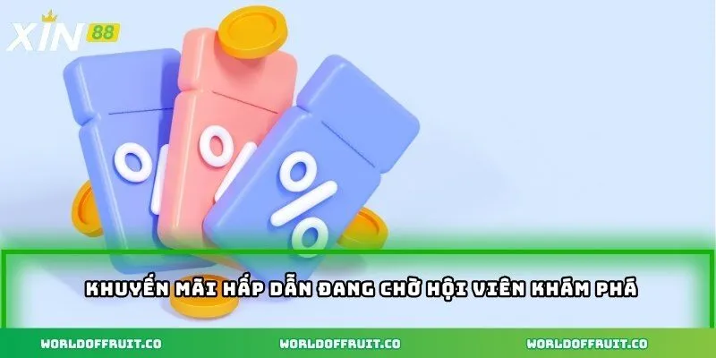Tải App XIN88 – Ứng Dụng Dễ Sử Dụng Trên Mọi Thiết Bị 4 Khuyến mãi hấp dẫn đang chờ hội viên khám phá